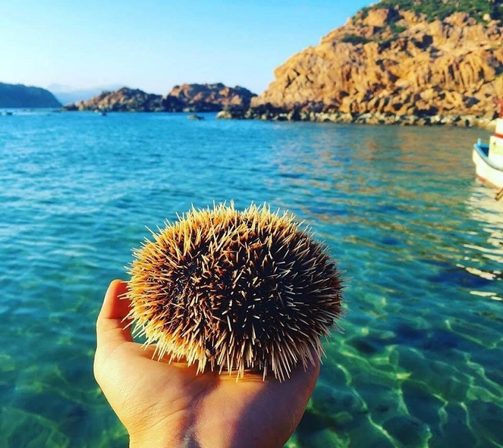 Bán đảo Hải Giang – kỳ quan miền nhiệt đới độc nhất vô nhị ở Việt Nam - 3