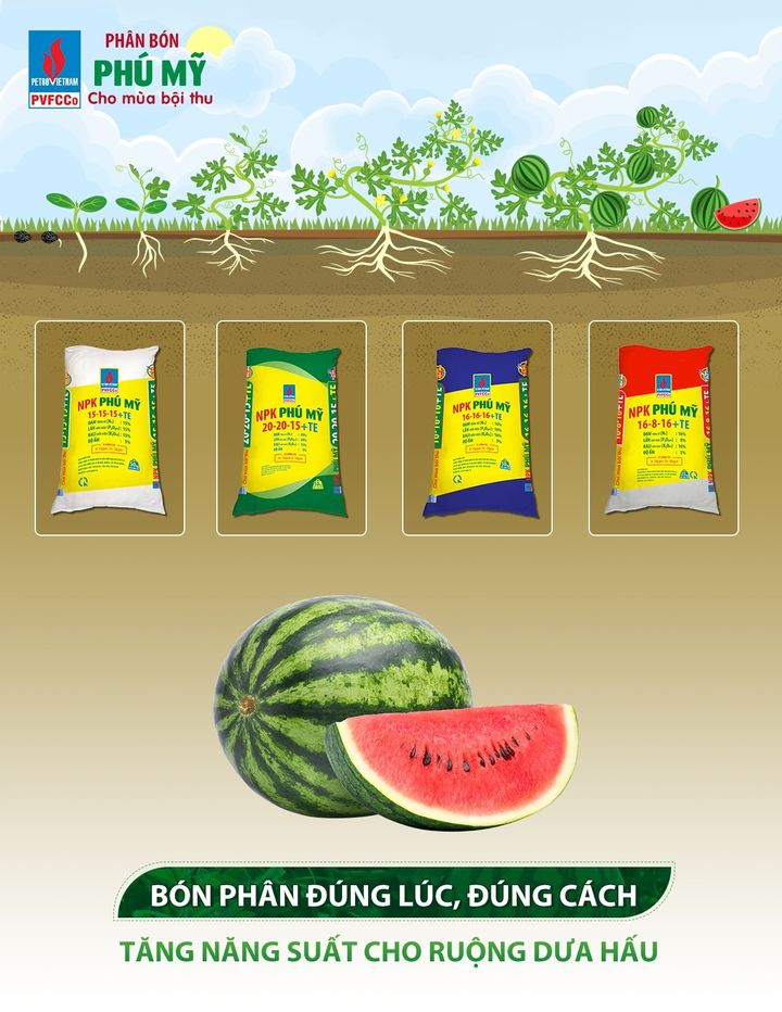 Phân bón Phú Mỹ: Sản lượng sản xuất cao, hàng hóa dồi dào - 1