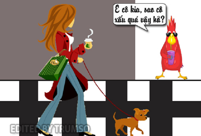 Chú vẹt thông minh làm gái đẹp nổi điên - 1