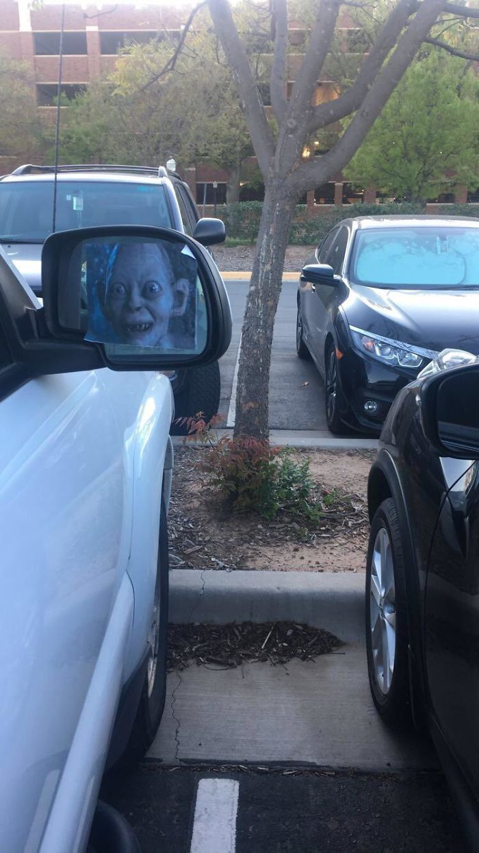 Các bức ảnh thử thách thị giác và sự tỉnh táo của dân mạng, nhìn kỹ kẻo lầm đấy - 5