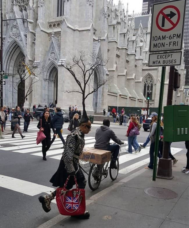 Các bức ảnh thử thách thị giác và sự tỉnh táo của dân mạng, nhìn kỹ kẻo lầm đấy - 10