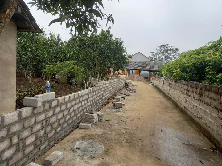 Bắn chết hàng xóm rồi tự sát: Bị tố 'vô trách nhiệm', chính quyền xã nói gì? - 1