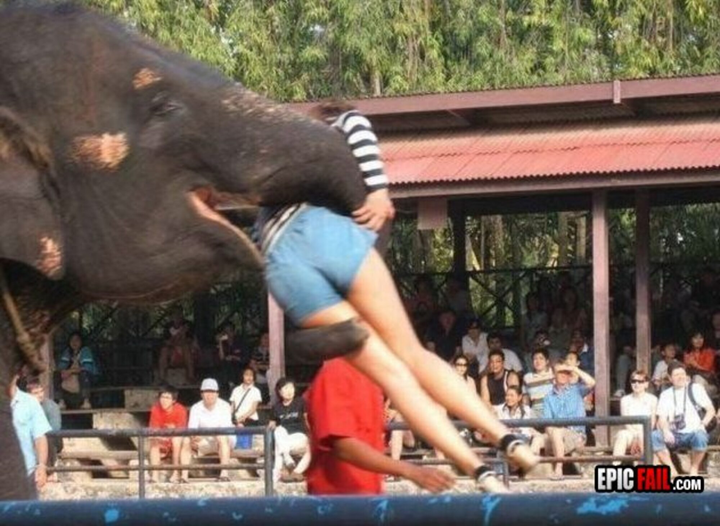 Rớt tim nhìn hội động vật nhầm con người với thức ăn, cạp không trượt phát nào - 10