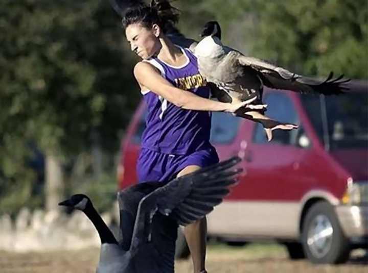 Rớt tim nhìn hội động vật nhầm con người với thức ăn, cạp không trượt phát nào - 5