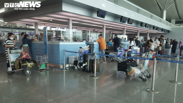 Ảnh: Sau 3 ngày mở lại toàn bộ đường bay, ga quốc tế Tân Sơn Nhất vắng khách - 4