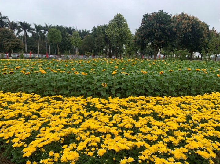 Đền Hai Bà Trưng, Hà Nội: Điểm đến du lịch văn hóa tâm linh hấp dẫn - 6