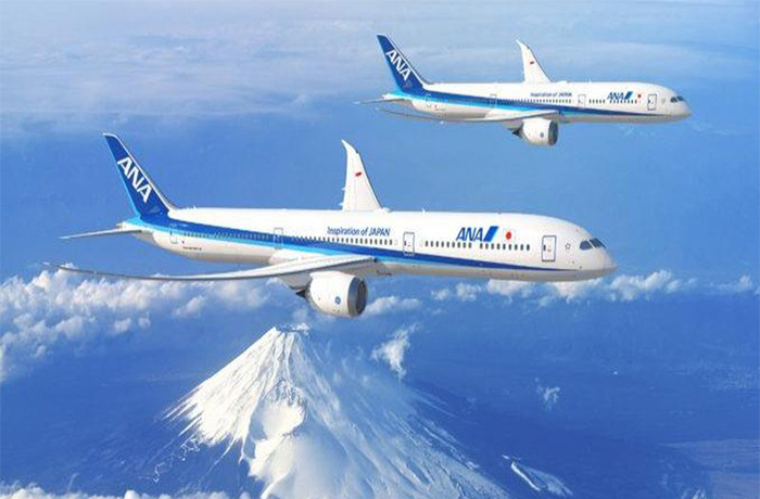 Bác tin máy bay từ Nhật về Việt Nam phải quay đầu vì bị từ chối nhập cảnh - 1