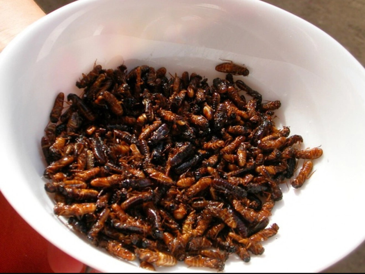 4 món độc lạ ở châu Phi thử thách độ gan dạ, ăn được rồi khéo lại thích mê - 3