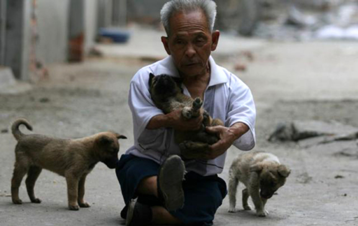 Cụ ông 85 tuổi cao 98 cm đăng tin tuyển vợ, 30 người ứng cử trong phút mốt - 6