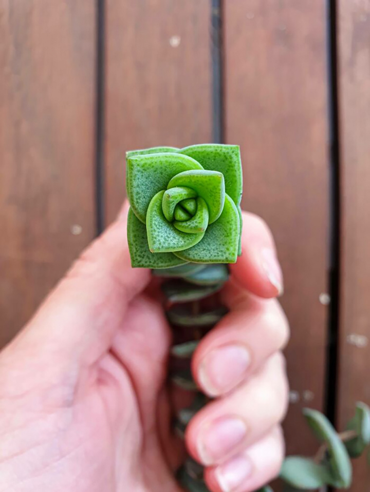 Loạt ảnh gây sững sờ vì sự hoàn hảo diệu kỳ của tạo hóa - 15