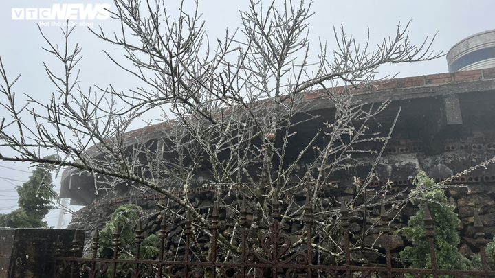 Ảnh: Nhiệt độ xuống -1 độ C, băng giá bao phủ đỉnh Mẫu Sơn - 7