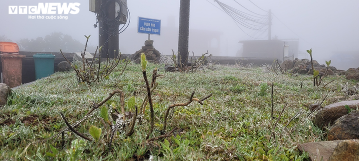 Ảnh: Nhiệt độ xuống -1 độ C, băng giá bao phủ đỉnh Mẫu Sơn - 11