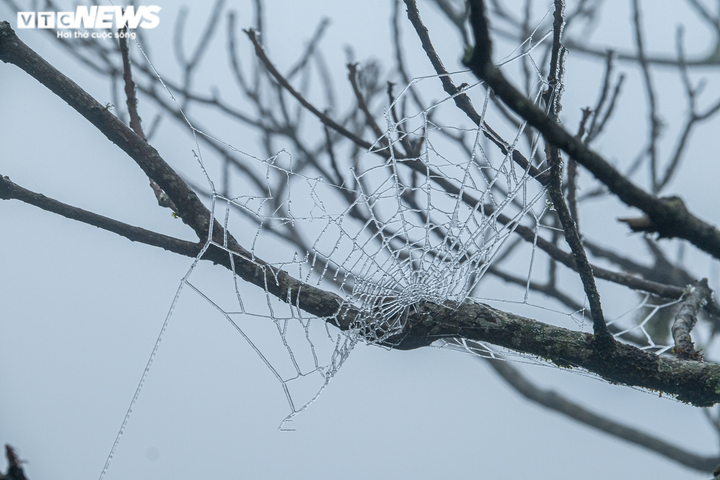 Ảnh: Cuộc sống người Y Tý những ngày băng giá, nhiệt độ dưới 0°C - 13