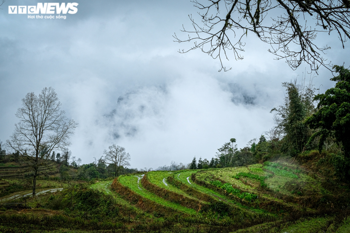 Ảnh: Y Tý lạnh âm độ, mờ ảo trong băng giá - 10