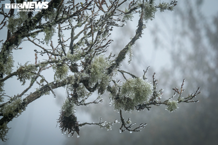 Ảnh: Cuộc sống người Y Tý những ngày băng giá, nhiệt độ dưới 0°C - 14