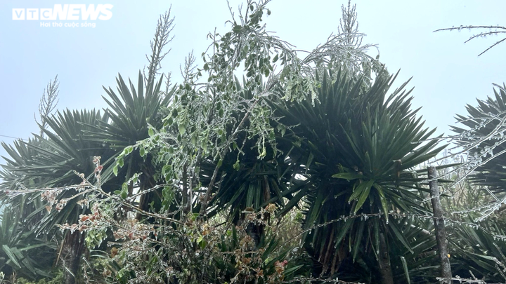 Ảnh: Nhiệt độ xuống -1 độ C, băng giá bao phủ đỉnh Mẫu Sơn - 6