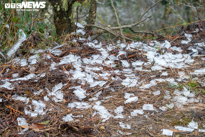 Ảnh: Băng tuyết phủ trắng xóa núi đồi, xã biên giới ở Lào Cai đẹp như trời Tây - 6