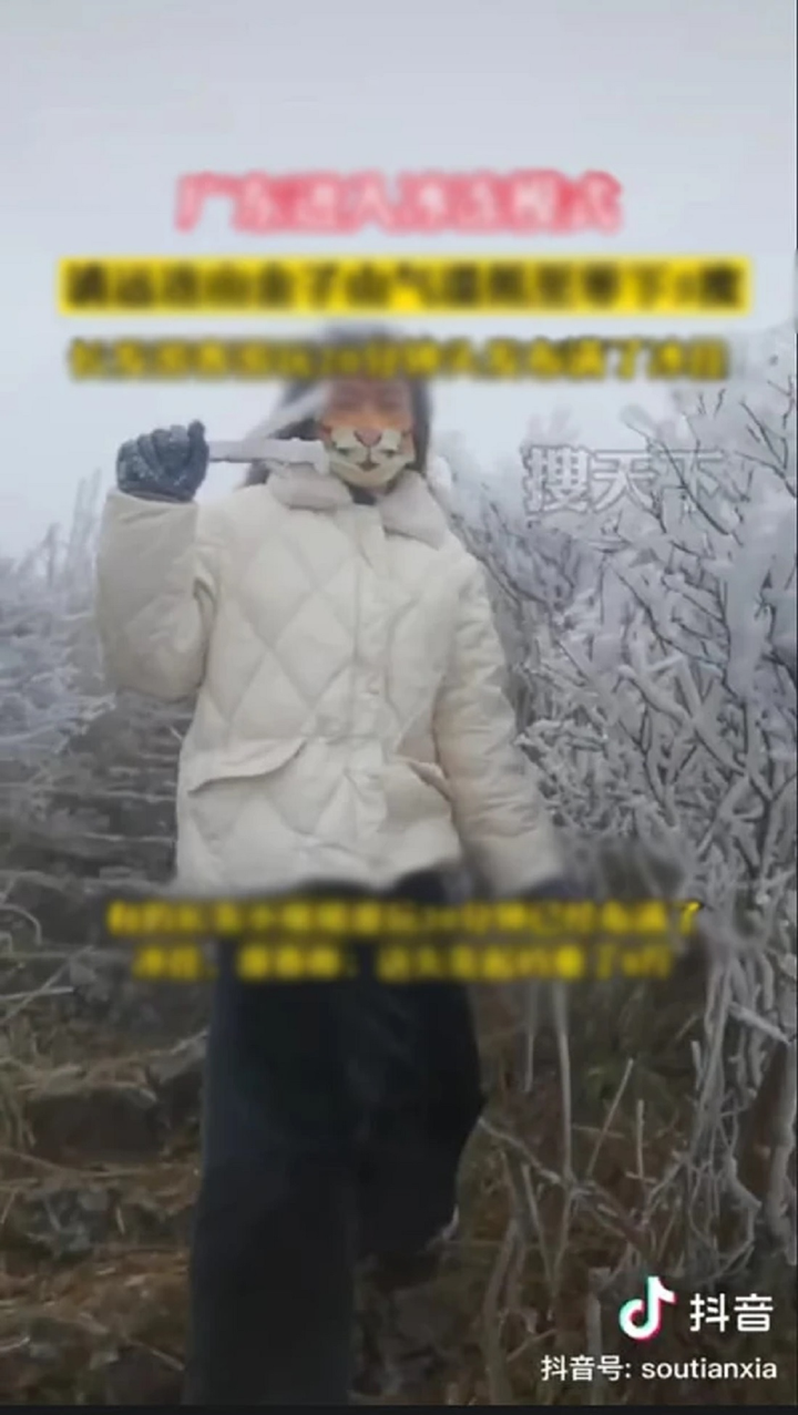 Sự thật bức ảnh 'cô gái bị đóng băng mái tóc khi ngắm tuyết ở Fansipan' - 3