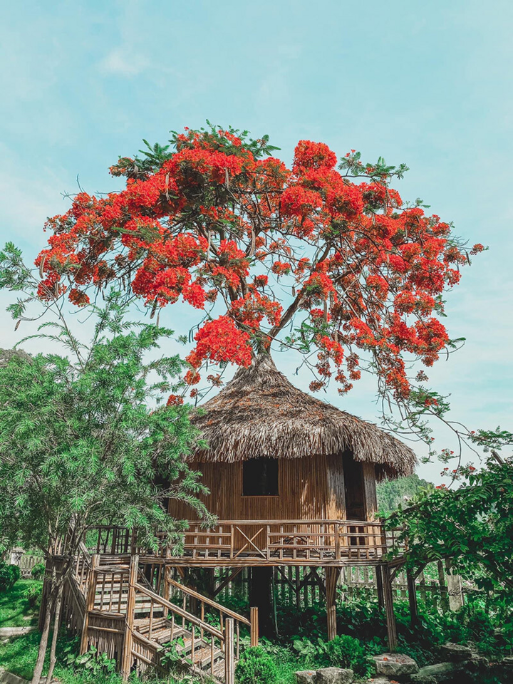 Khám phá Hang Múa - nơi tiên cảnh giữa cố đô Ninh Bình - 3