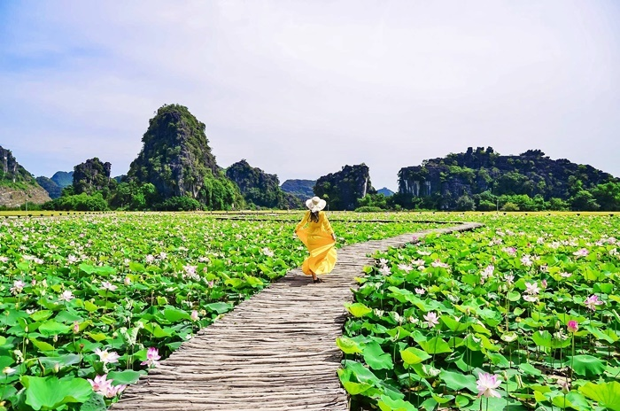 Khám phá Hang Múa - nơi tiên cảnh giữa cố đô Ninh Bình - 4