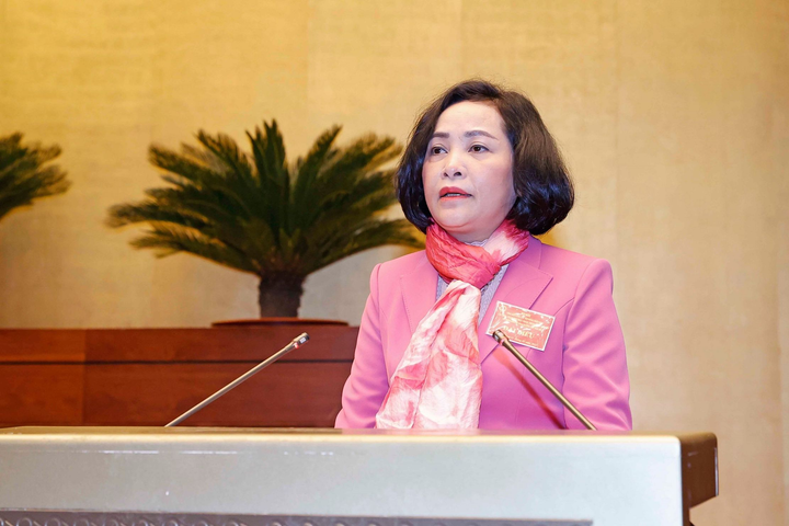 Trưởng Ban Công tác đại biểu: Khắc phục tình trạng tiếp xúc 'đại cử tri' - 1