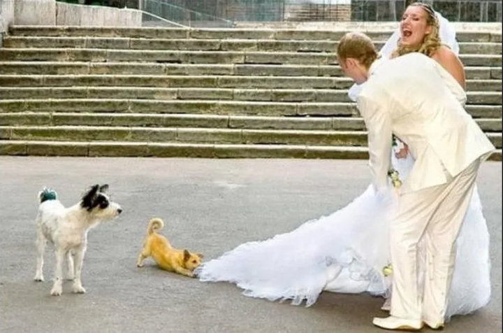 Đám cưới hóa thảm họa bởi 'lỗi định mệnh', cô dâu chú rể nhìn lại chỉ có khóc - 7