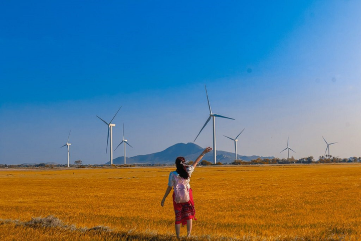 Thư giãn hòa mình với đất trời tại cánh đồng quạt gió thanh bình ở Ninh Thuận - 10