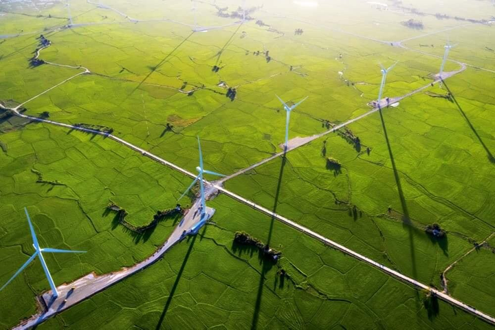 Thư giãn hòa mình với đất trời tại cánh đồng quạt gió thanh bình ở Ninh Thuận - 4