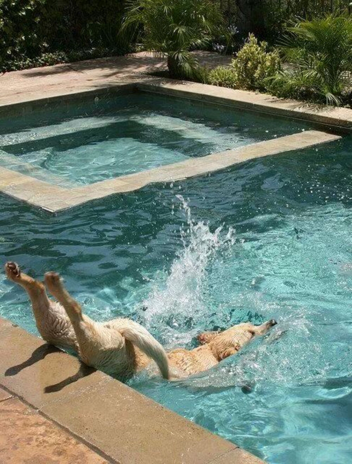 Phì cười trước những màn 'té sấp mặt' xứng đáng nhận 100 điểm hài hước - 2