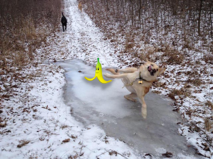 Phì cười trước những màn 'té sấp mặt' xứng đáng nhận 100 điểm hài hước - 3