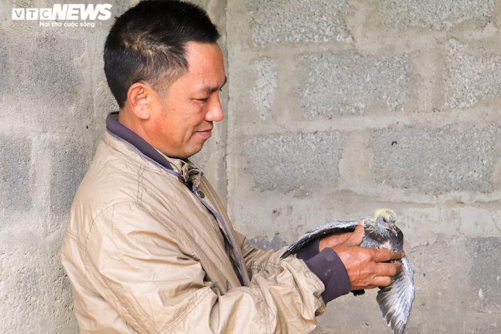 Bỏ phố về quê làm nông sản sạch, nông dân Quảng Bình ‘bỏ túi' hàng trăm triệu - 8