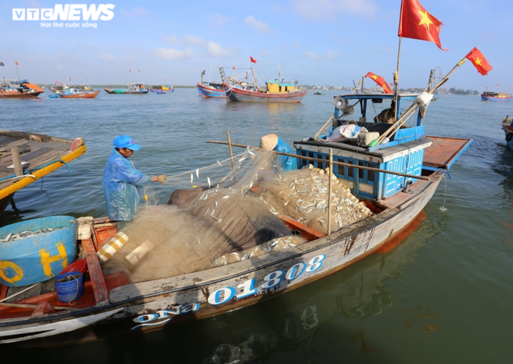 Ngư dân trong 'cơn bão' giá dầu: 'Ra khơi có còn lời lãi được đồng nào không' - 4