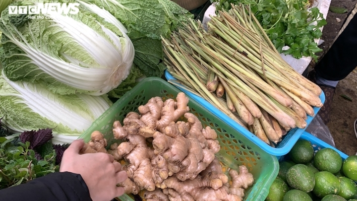 Hàng 'hot' nhất mùa dịch: Lá xông đắt như tôm tươi, giá tăng từng ngày - 1