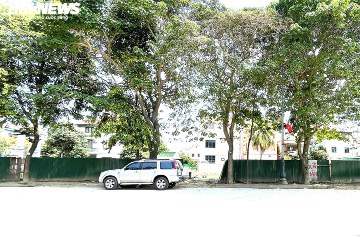 Nhiều dự án ở TP Vinh rào tôn quanh năm, không triển khai cũng không bị thu hồi - 2