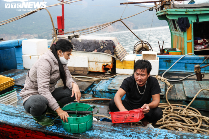 Ngư dân trong 'cơn bão' giá dầu: 'Ra khơi có còn lời lãi được đồng nào không' - 2