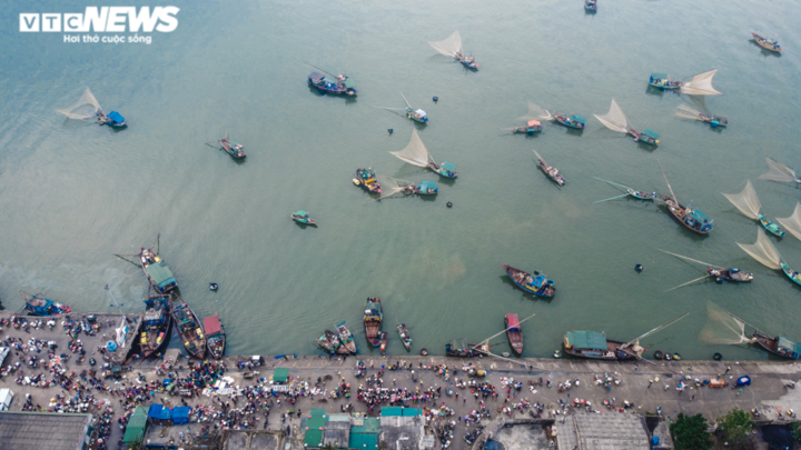 Ngư dân trong 'cơn bão' giá dầu: 'Ra khơi có còn lời lãi được đồng nào không' - 5