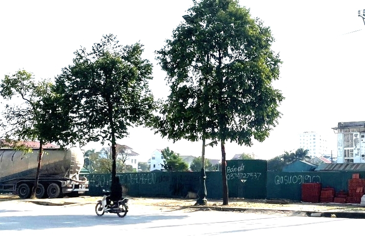 Nhiều dự án ở TP Vinh rào tôn quanh năm, không triển khai cũng không bị thu hồi - 8