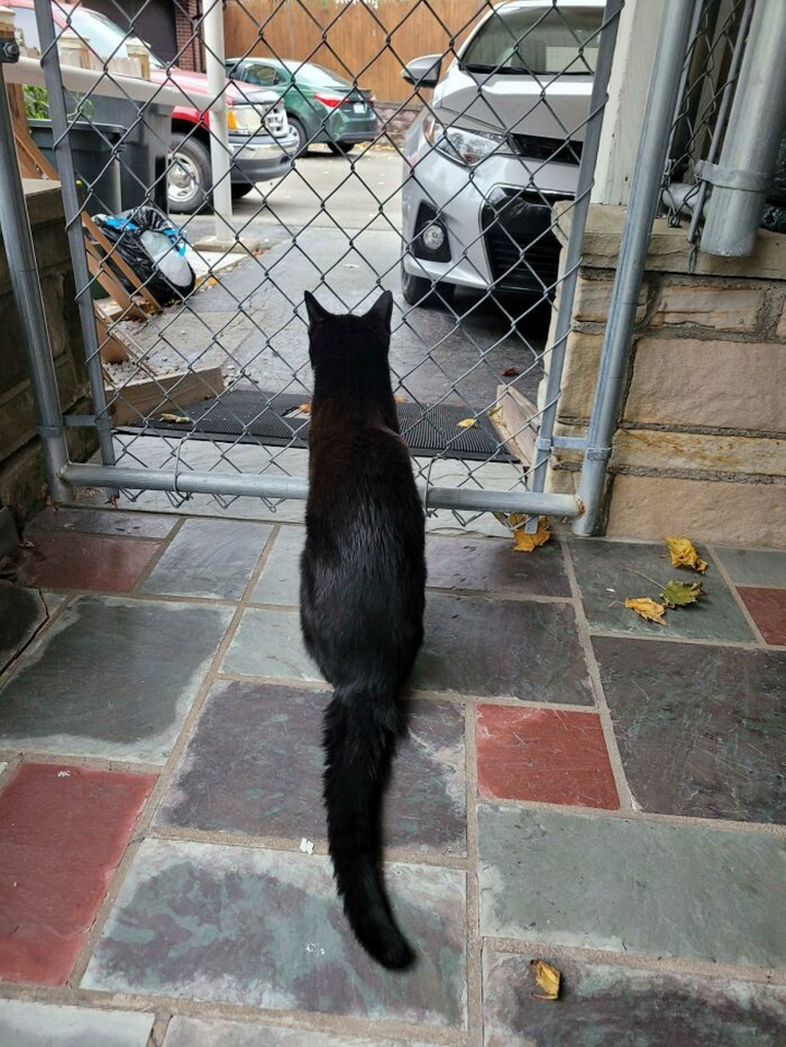 Loạt ảnh cảm động về tình yêu của động vật làm tan chảy trái tim - 11