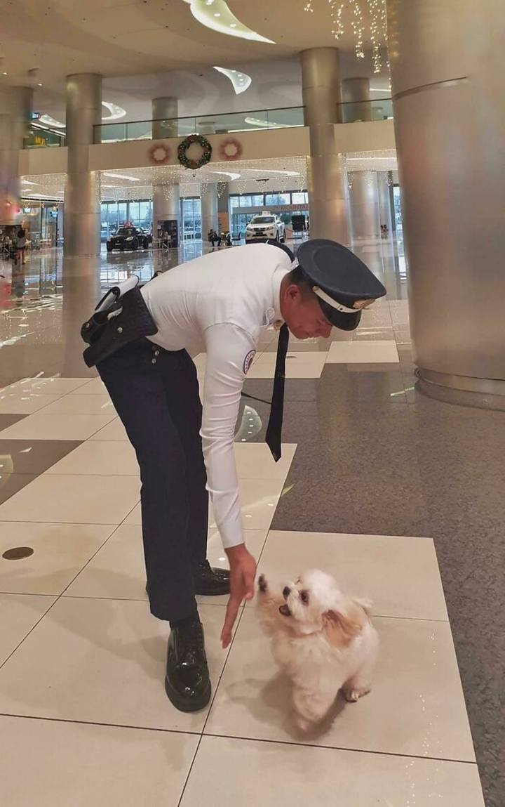 Loạt ảnh cảm động về tình yêu của động vật làm tan chảy trái tim - 6