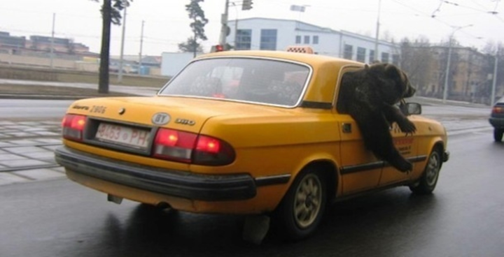 'Xỉu ngang' trước những hình ảnh lạ lùng chỉ có thể bắt gặp ở Nga - 1