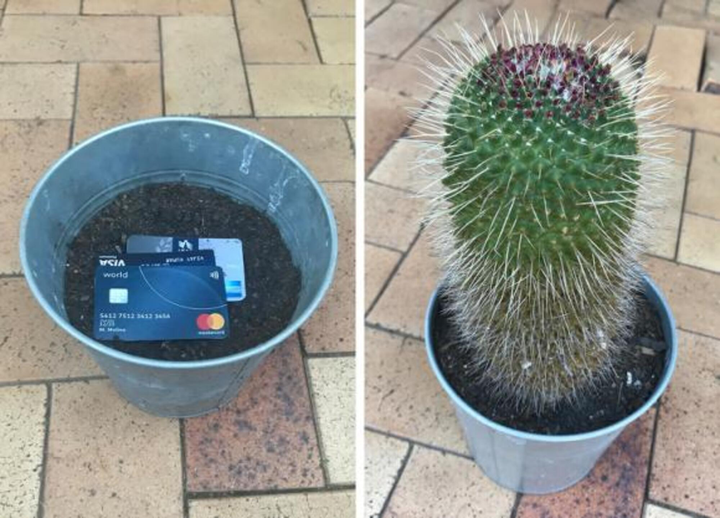 Những màn giấu tài sản đỉnh cao, dù có là siêu trộm hay vợ cũng chào thua - 7