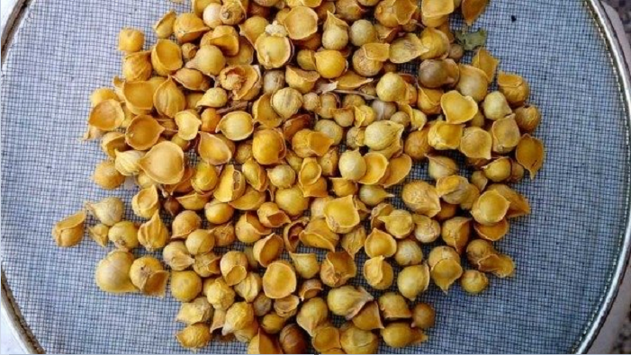 Công dụng tuyệt vời của tỏi cô đơn: Mỗi ngày ăn một ít, cơ thể nhận về 6 lợi ích - 1