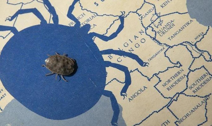 Sinh vật sống không ăn 8 năm, sinh con với 'bạn tình' chết 4 năm trước - 1