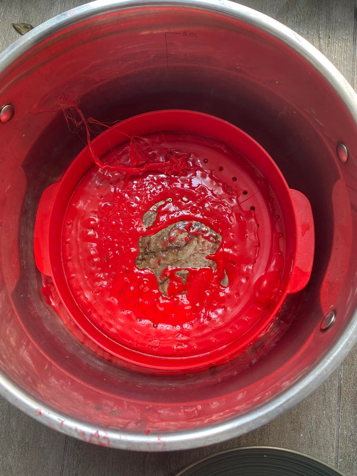 Nấu đồ bổ sung vitamin hậu Covid-19, cô gái vô tình chế ra “món ăn” bất đắc dĩ - 2