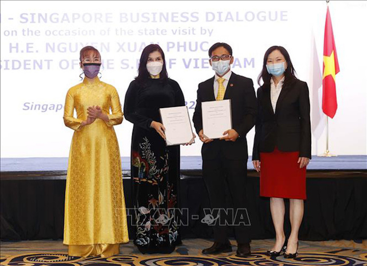 Doanh nghiệp Việt Nam, Singapore cam kết hợp tác trị giá gần 11 tỷ USD - 3