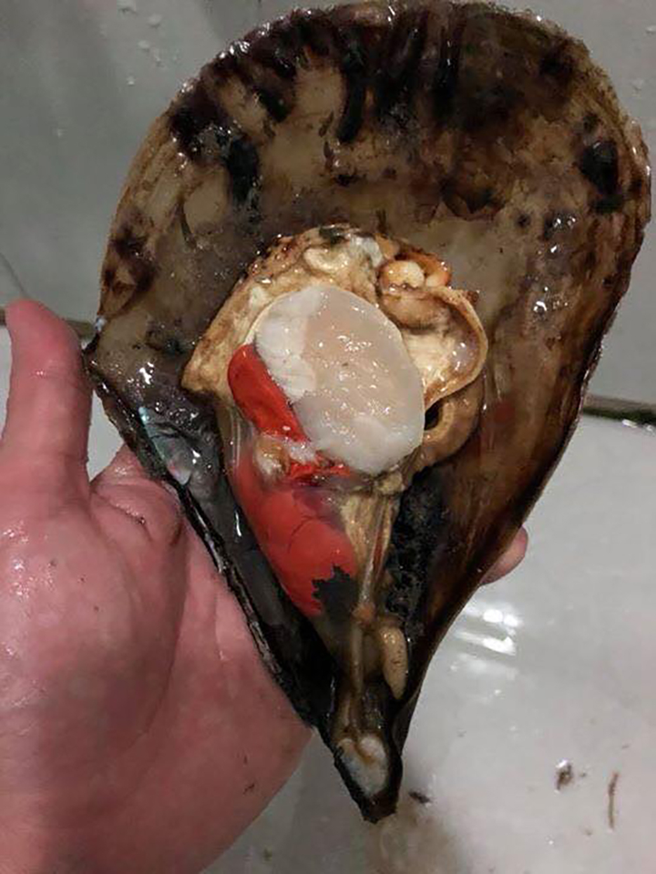 Món bàn mai cực đắt khách ở Quang Ninh, ai muốn ăn phải xếp hàng chờ tới lượt - 2