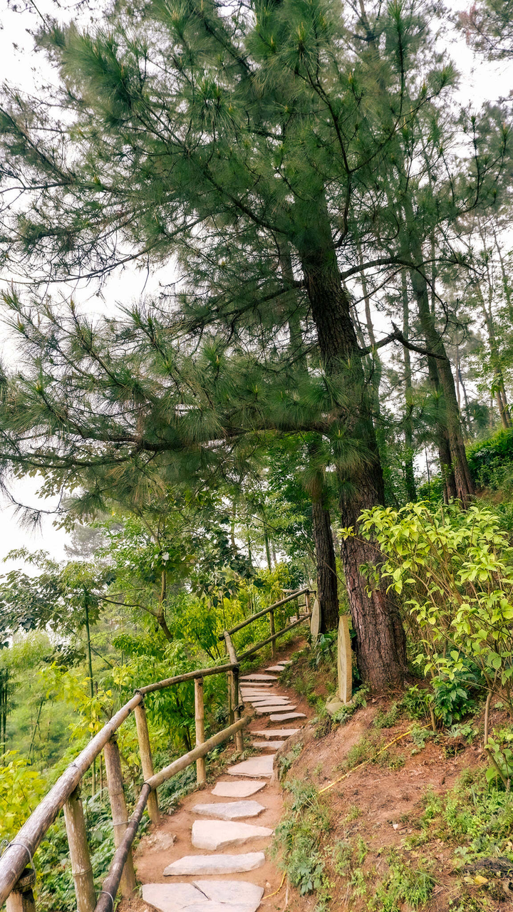 Tìm về bình yên ở ngôi chùa nằm giữa rừng núi hoang sơ Hà Nam - 10