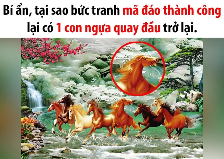 Đố vui: Tại sao có một con ngựa quay đầu lại? - 1