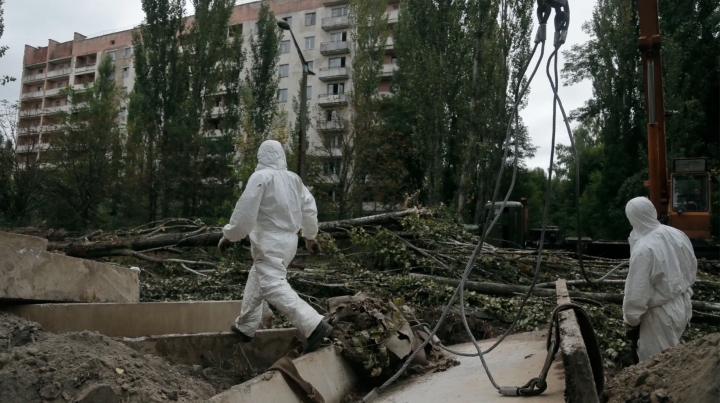 Misterioso rumor de que una rata mutante gigante se come a los humanos después de la explosión nuclear de Chernobyl - 2