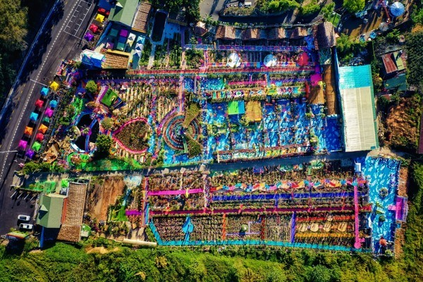 Vườn Thượng Uyển ở Đà Lạt được yêu cầu chỉnh trang màu sắc, cảnh quan - 1